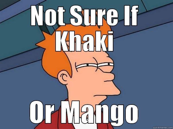 NOT SURE IF KHAKI OR MANGO Futurama Fry