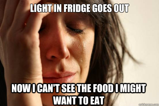 LIGHT IN FRIDGE GOES OUT NOW I CAN'T SEE THE FOOD I MIGHT WANT TO EAT  First World Problems