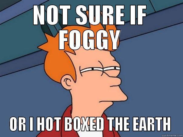 NOT SURE IF FOGGY OR I HOT BOXED THE EARTH Futurama Fry