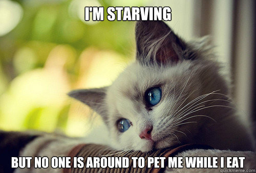 I'm starving But no one is around to pet me while I eat  First World Cat Problems