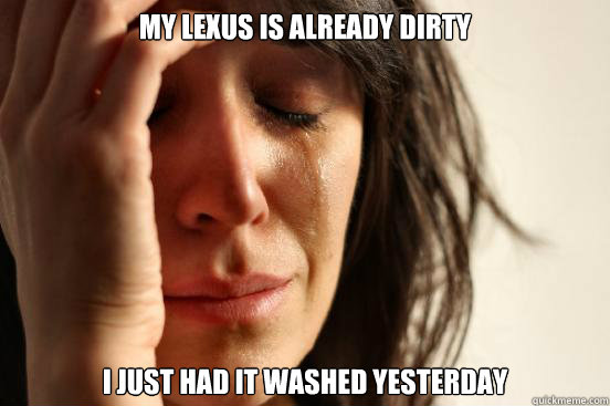 My Lexus is already dirty I just had it washed yesterday  First World Problems