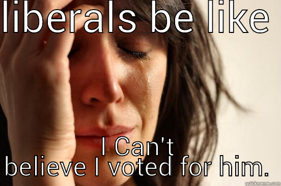 LIBERALS BE LIKE  I CAN'T BELIEVE I VOTED FOR HIM. First World Problems