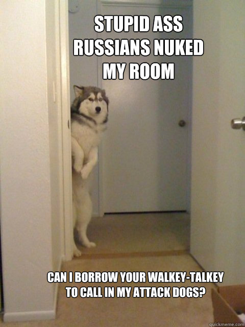 stupid ass russians nuked my room can i borrow your walkey-talkey to call in my attack dogs?  