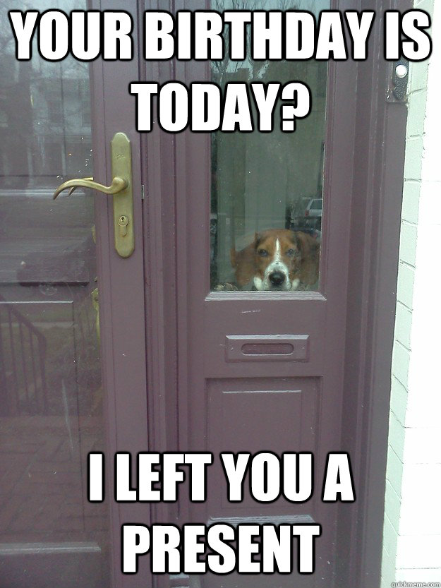 Your birthday is today? I left you a present - Your birthday is today? I left you a present  Separation Anxiety Dog