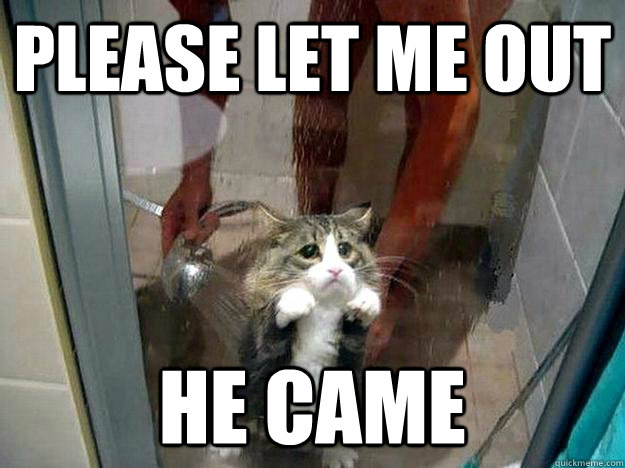 Please let me out He came  Shower kitty