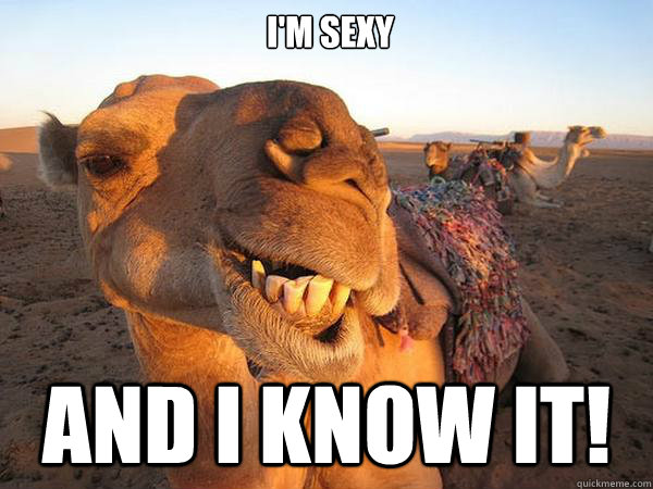 I'm sexy and i know it!   