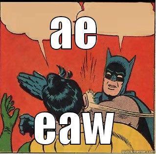 AE EAW Slappin Batman