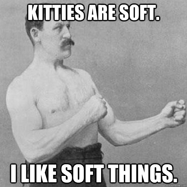 Kitties are soft. I like soft things.  overly manly man