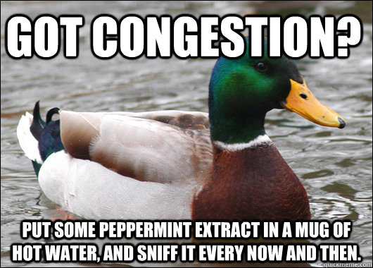 Got congestion? Put some peppermint extract in a mug of hot water, and sniff it every now and then.  Actual Advice Mallard