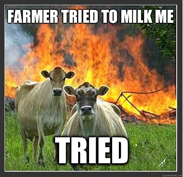 Farmer tried to milk me  Tried   Evil cows