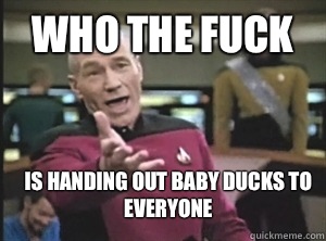 Who the fuck Is handing out baby ducks to everyone  Annoyed Picard