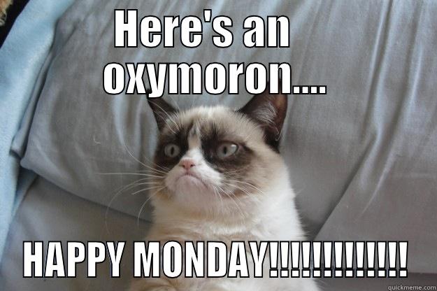 HERE'S AN    OXYMORON…. HAPPY MONDAY!!!!!!!!!!!!! Grumpy Cat