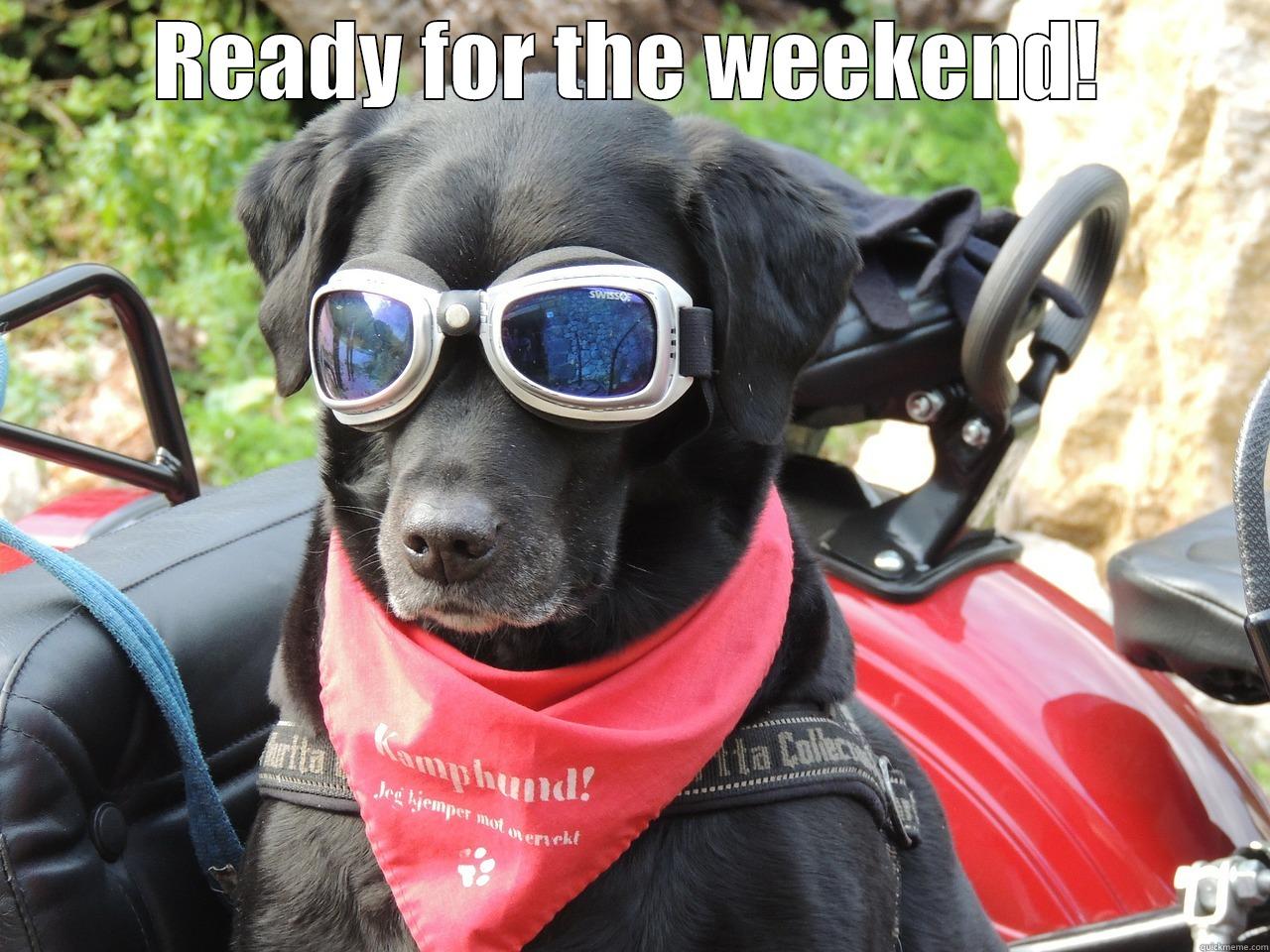 READY FOR THE WEEKEND!  Misc