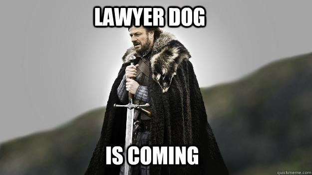 Lawyer Dog IS COMING  Ned stark winter is coming