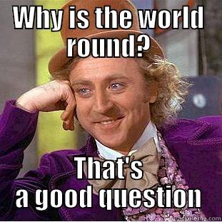 WHY IS THE WORLD ROUND? THAT'S A GOOD QUESTION Condescending Wonka
