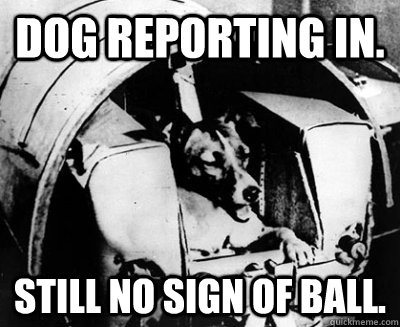 dog reporting in. still no sign of ball. - dog reporting in. still no sign of ball.  space dog