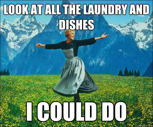 look at all the laundry and dishes I could do  Look At All The Fucks I Give