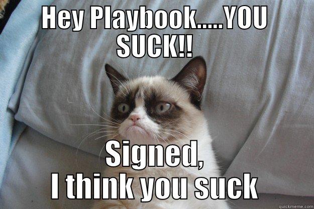 HEY PLAYBOOK.....YOU SUCK!! SIGNED, I THINK YOU SUCK Grumpy Cat