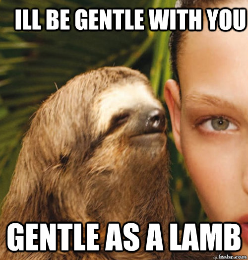 Ill be gentle with you  Gentle as a lamb  rape sloth