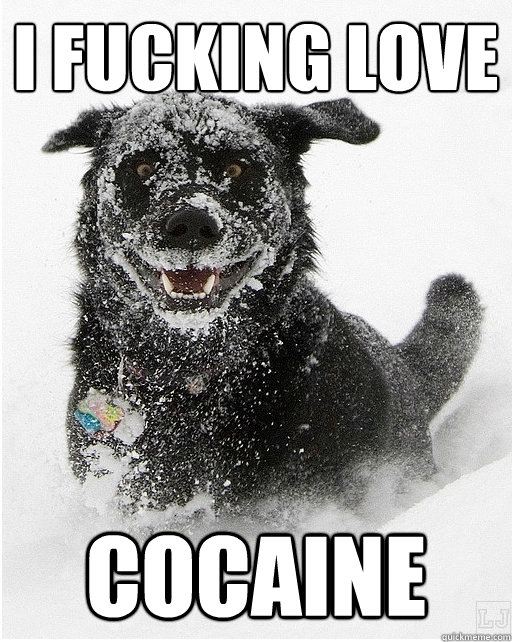 I FUCKING LOVE COCAINE  Cocaine dog