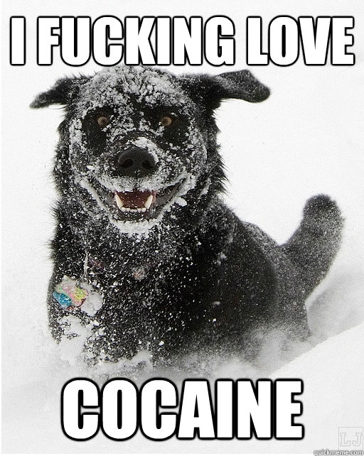 I FUCKING LOVE COCAINE  