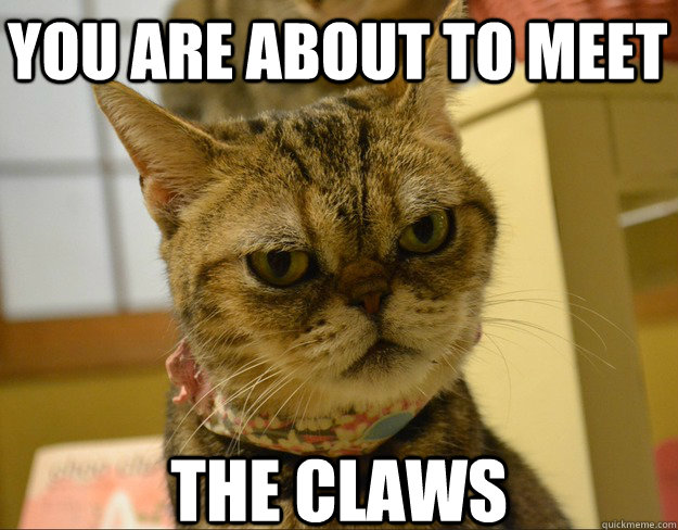 you are about to meet the claws - you are about to meet the claws  Angry Cat