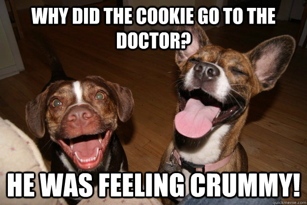 Why did the cookie go to the doctor? He was feeling crummy!  Clean Joke Puppies