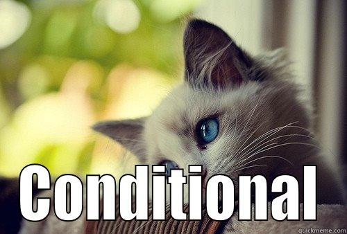  CONDITIONAL First World Problems Cat