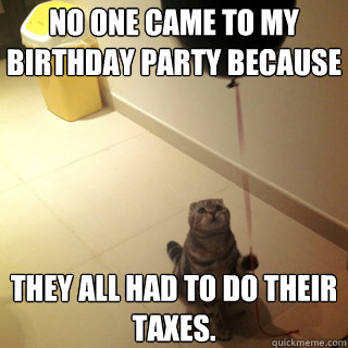 No one came To my birthday party because  They all had to do their taxes.  Sad Birthday Cat