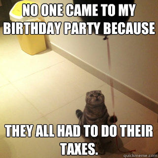 No one came To my birthday party because  They all had to do their taxes. - No one came To my birthday party because  They all had to do their taxes.  Sad Birthday Cat