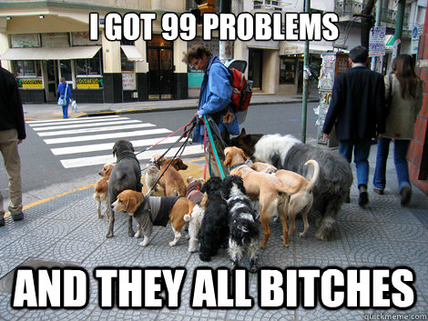 I got 99 problems And they all bitches  Frustrated Dog Walker