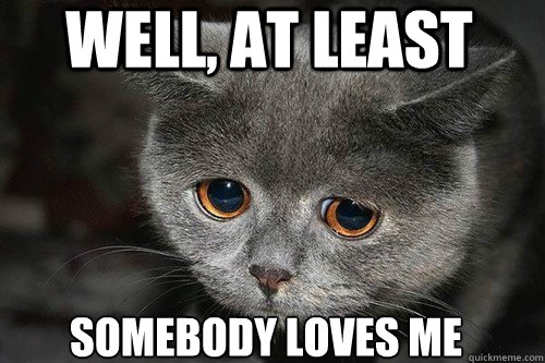Well, at least somebody loves me - Well, at least somebody loves me  sadness cat