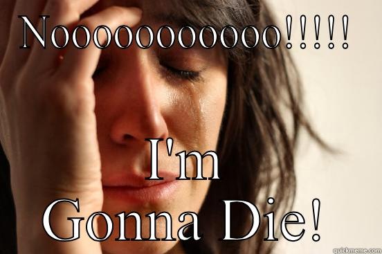 NOOOOOOOOOOO!!!!! I'M GONNA DIE! First World Problems
