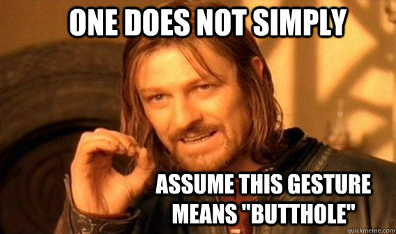 ONE DOES NOT SIMPLY  ASSUME THIS GESTURE MEANS 