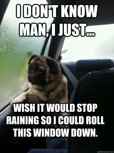 I don't know man, I just... wish it would stop raining so I could roll this window down. - I don't know man, I just... wish it would stop raining so I could roll this window down.  Introspective Pug