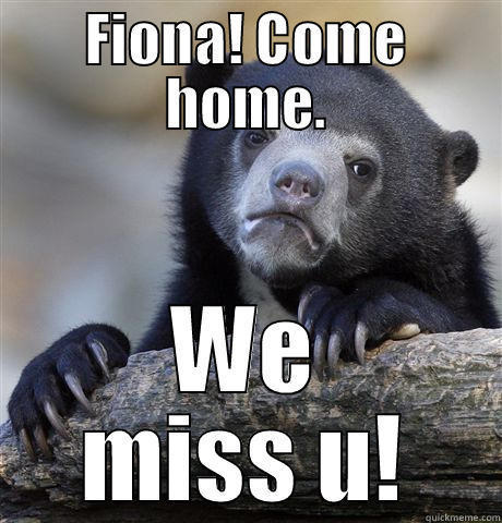 FIONA! COME HOME. WE MISS U! Confession Bear