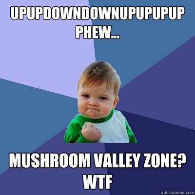 UpUPDowndownupupupup
phew... mushroom valley zone? wtf - UpUPDowndownupupupup
phew... mushroom valley zone? wtf  Success Kid