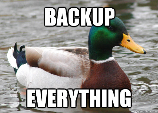 Backup Everything  Actual Advice Mallard