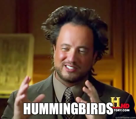  Hummingbirds  Ancient Alien Guy