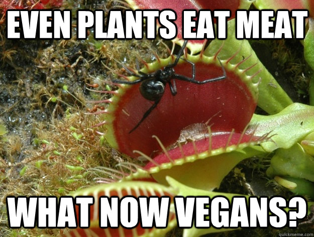 Even plants eat meat WHAT NOW VEGANS? - Even plants eat meat WHAT NOW VEGANS?  Vegan