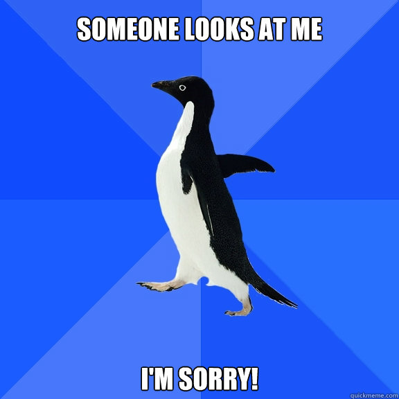 Someone looks at me I'm sorry!  Socially Awkward Penguin