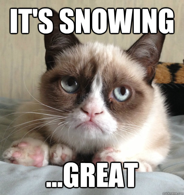 It's snowing ...great - It's snowing ...great  Misc