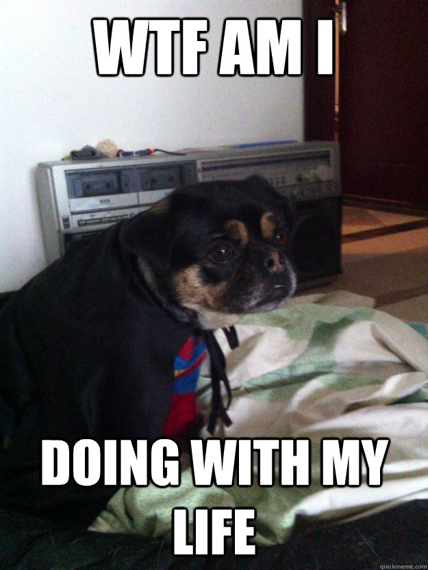 WTF AM I DOING WITH MY LIFE - WTF AM I DOING WITH MY LIFE  Realty Check Dog