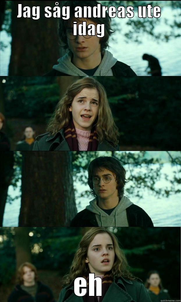 JAG SÅG ANDREAS UTE IDAG EH Horny Harry