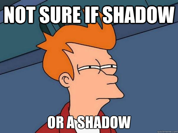 Not sure if shadow or a shadow  Not sure Fry
