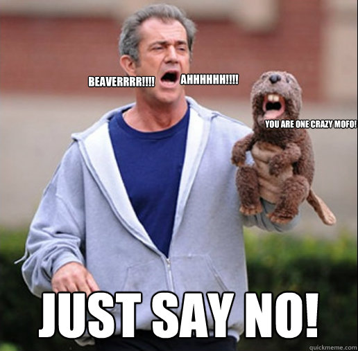AHHHHHH!!!! yOU ARE ONE CRAZY MOfo! beaverrrr!!!! just say no!   