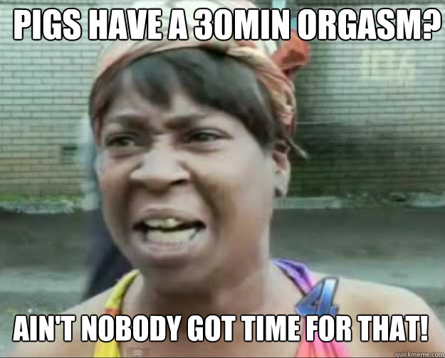 PIGS HAVE A 30MIN ORGASM? AIN'T NOBODY Got time for that! - PIGS HAVE A 30MIN ORGASM? AIN'T NOBODY Got time for that!  aint nobody got time fo dat