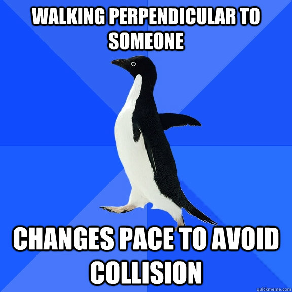Walking perpendicular to someone changes pace to avoid collision   Socially Awkward Penguin