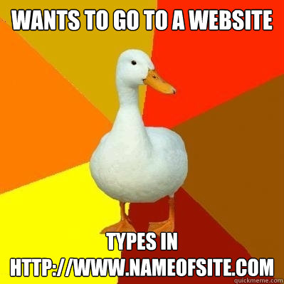 wants to go to a website types in http://www.nameofsite.com  Tech Impaired Duck
