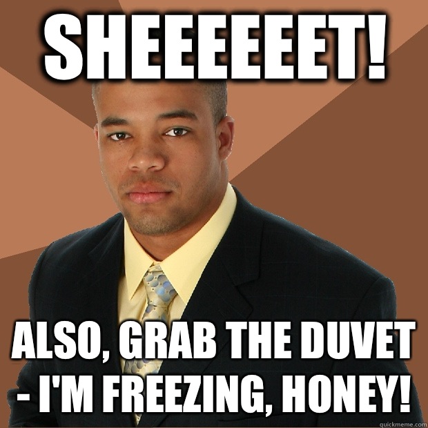 SHEEEEEET! ALSO, GRAB THE DUVET - I'M FREEZING, HONEY!  Successful Black Man
